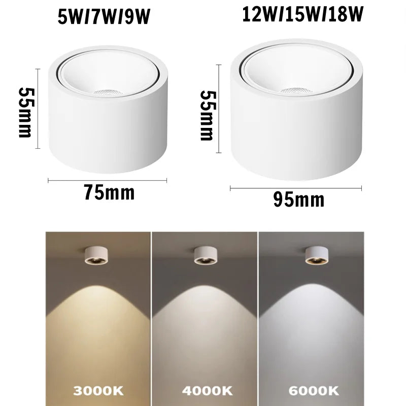 Surface-Mounted Downlights, Anti-Glare Ultra-Thin LED Spotlights, Living Room Ceiling Lights, Bedroom and Study 110V/220V 5W7W