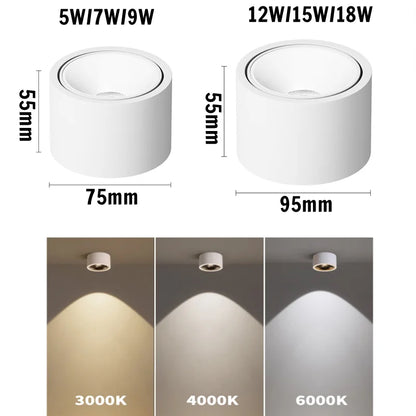 Surface-Mounted Downlights, Anti-Glare Ultra-Thin LED Spotlights, Living Room Ceiling Lights, Bedroom and Study 110V/220V 5W7W